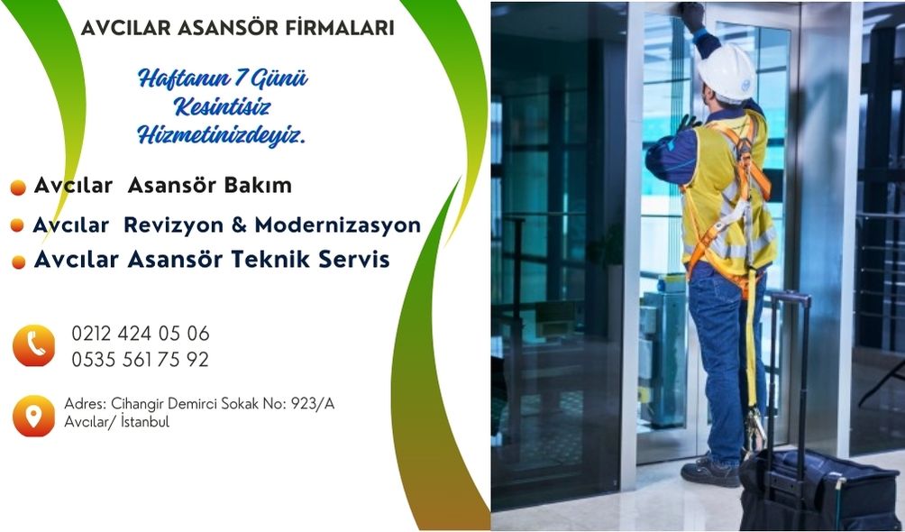 Avcılar Asansör Firmaları